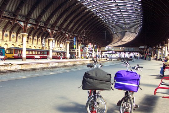 Black and purple bags